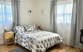 Cozy Rooms Near Busch Gardens